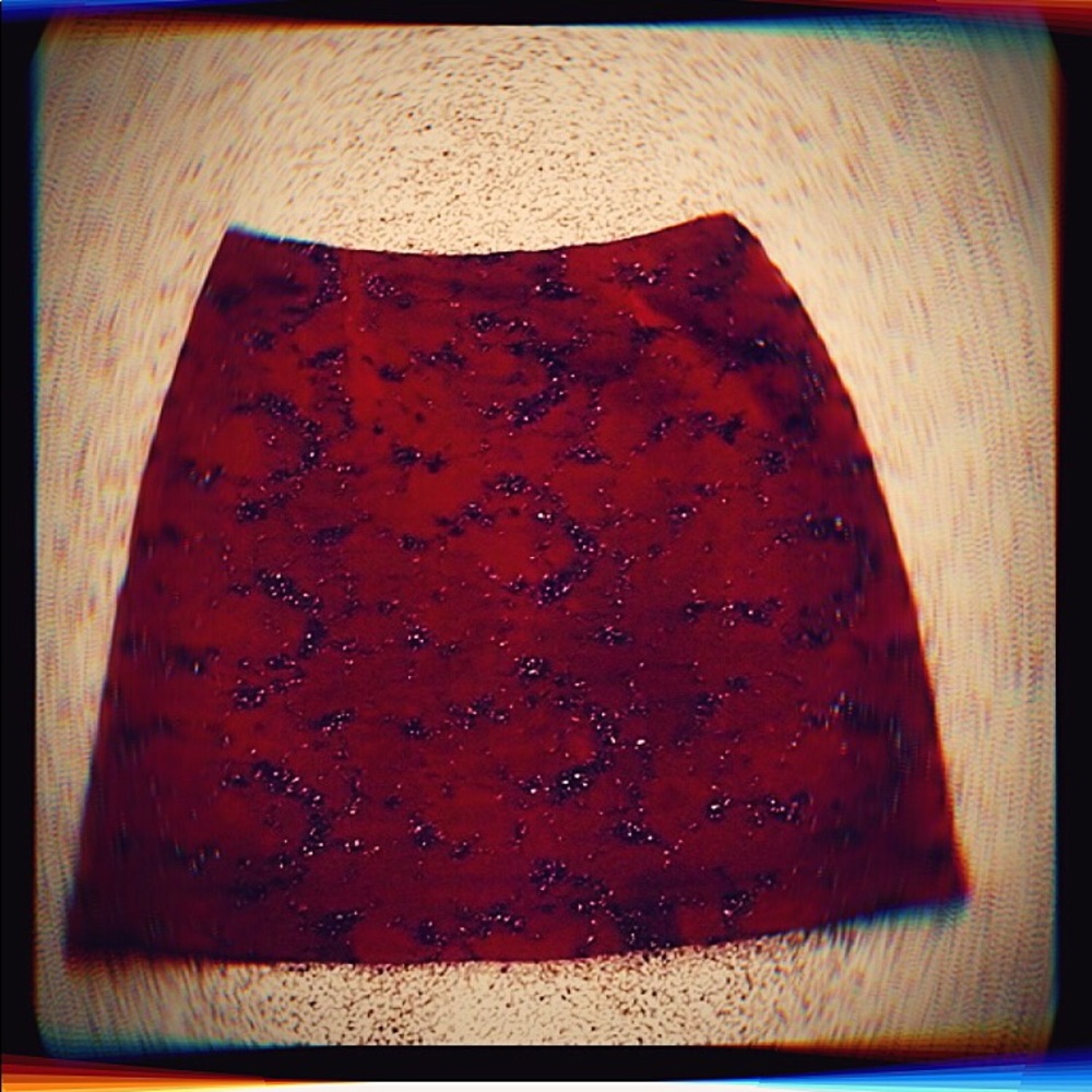 Red & Black Embroidered Skirt